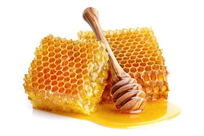 Honey Jam عسل و مربا