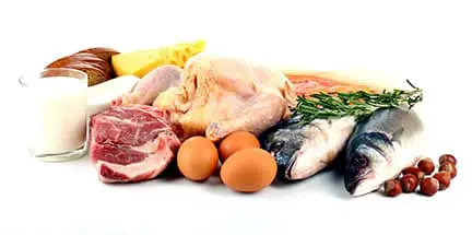 Meat Fish Tuna Egg کنسروها، تن ماهی و پروتئینی